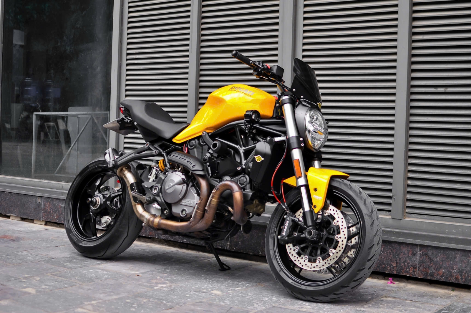 Ducati Monster_821 model 2020 