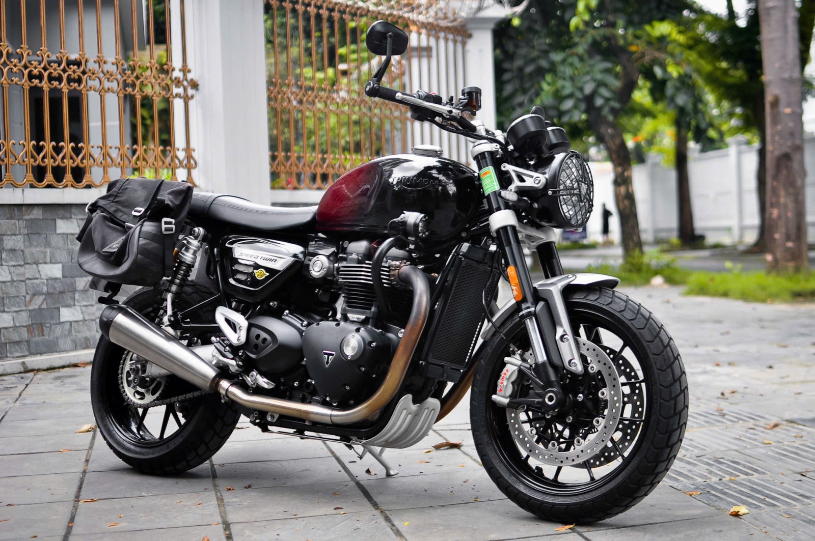 Triumph_SpeedTwin_1200 2025 