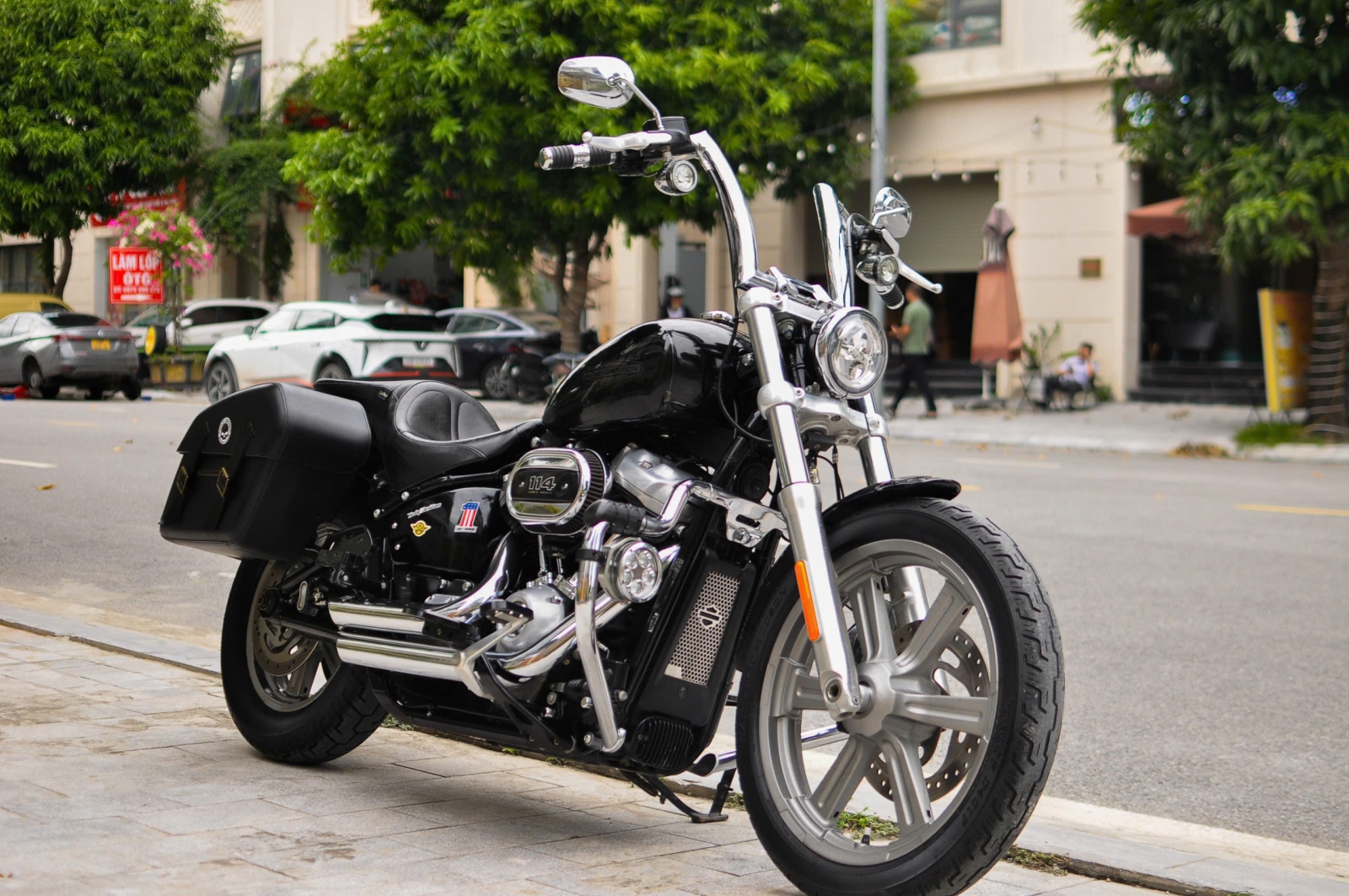 Harley_Standard 2024