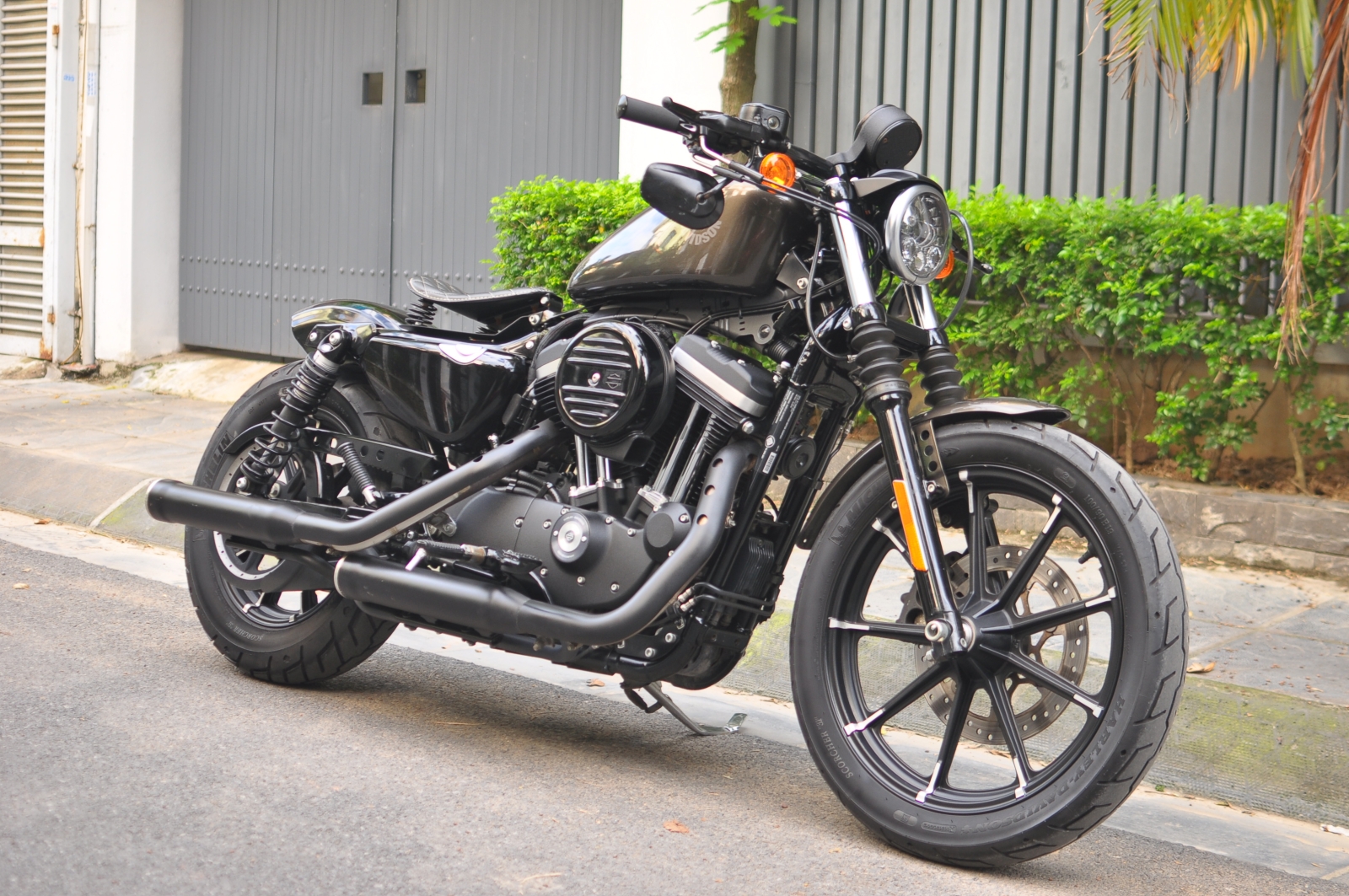 Harley Iron 883 model 2021 màu cực độc