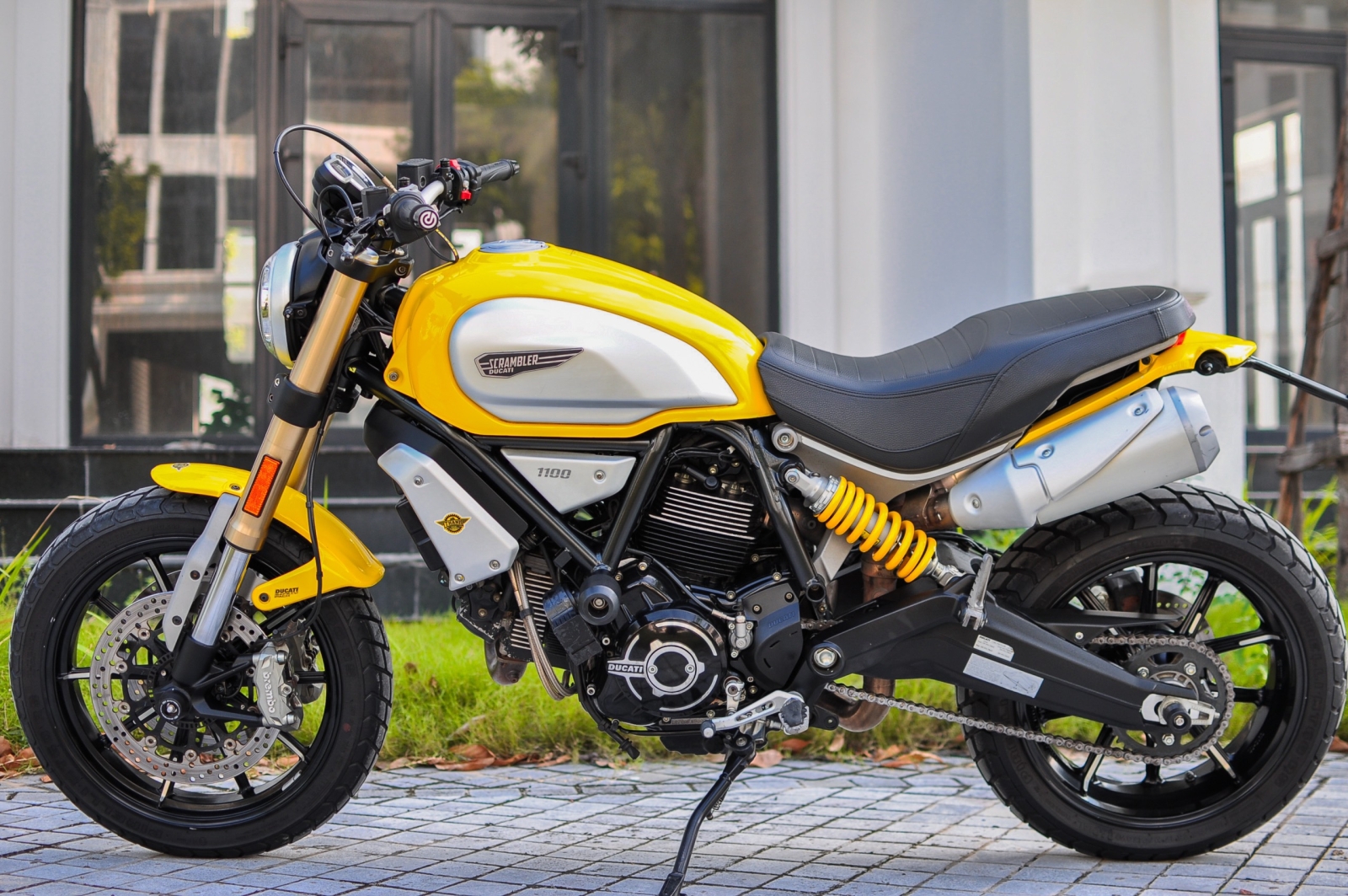 Ducati Scrambler_1100 model 2019 