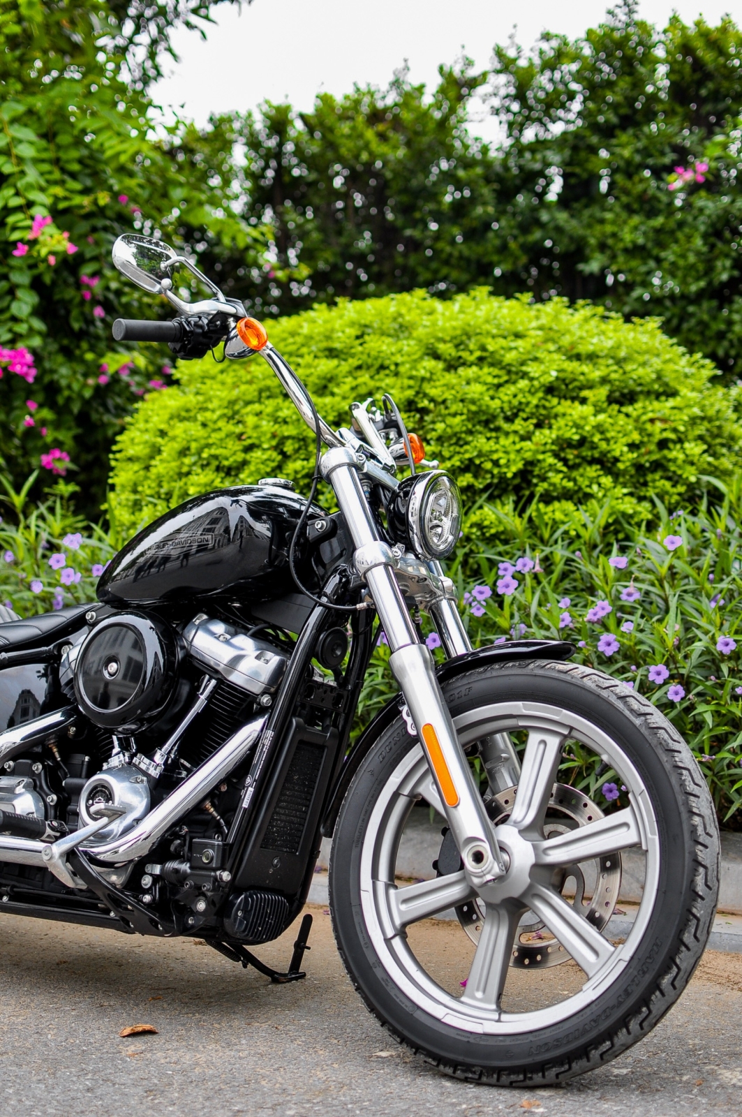Harley_Davidson_Softail_Standard 2022