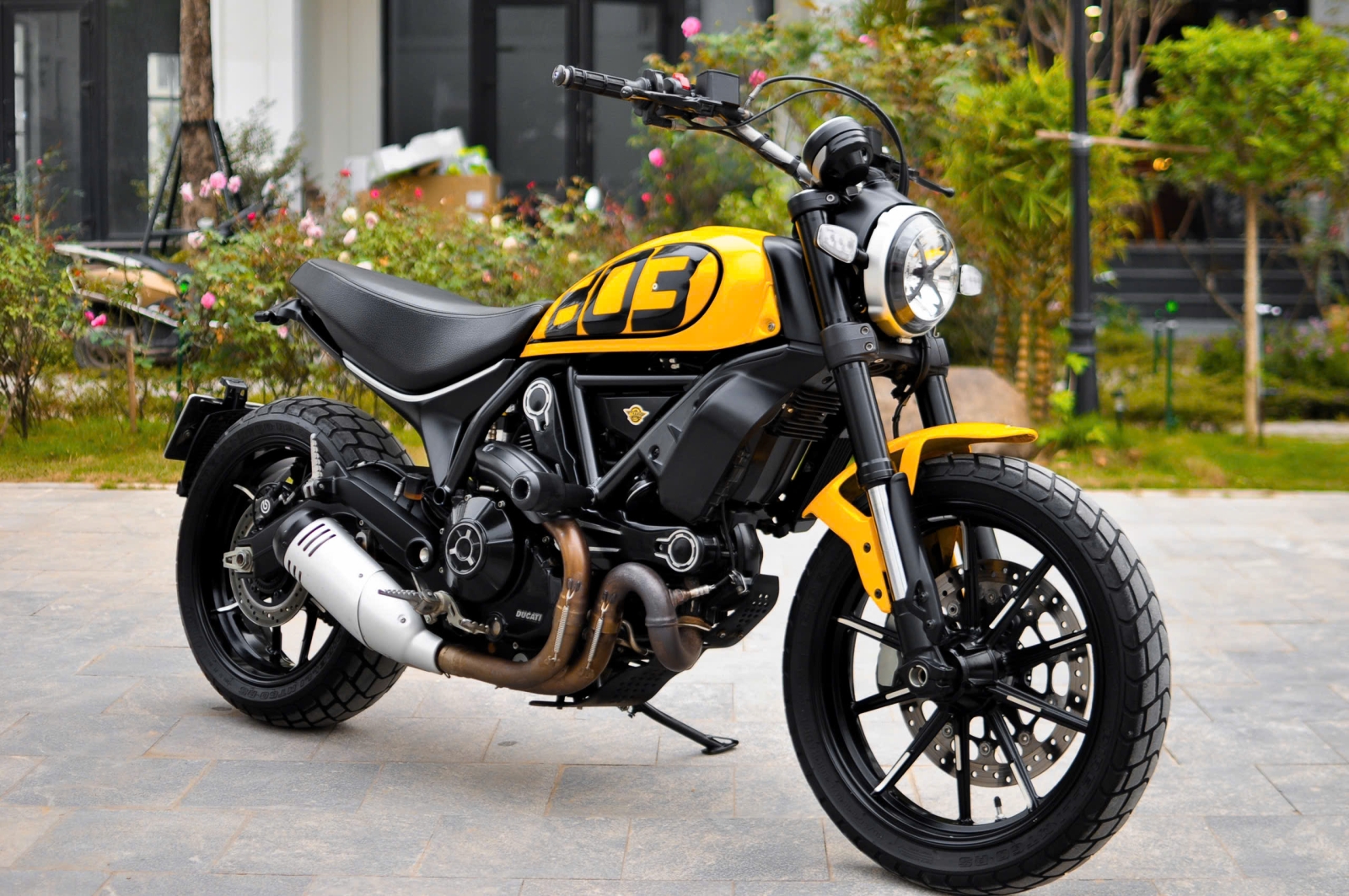  Ducati Scrambler Icon 2020  