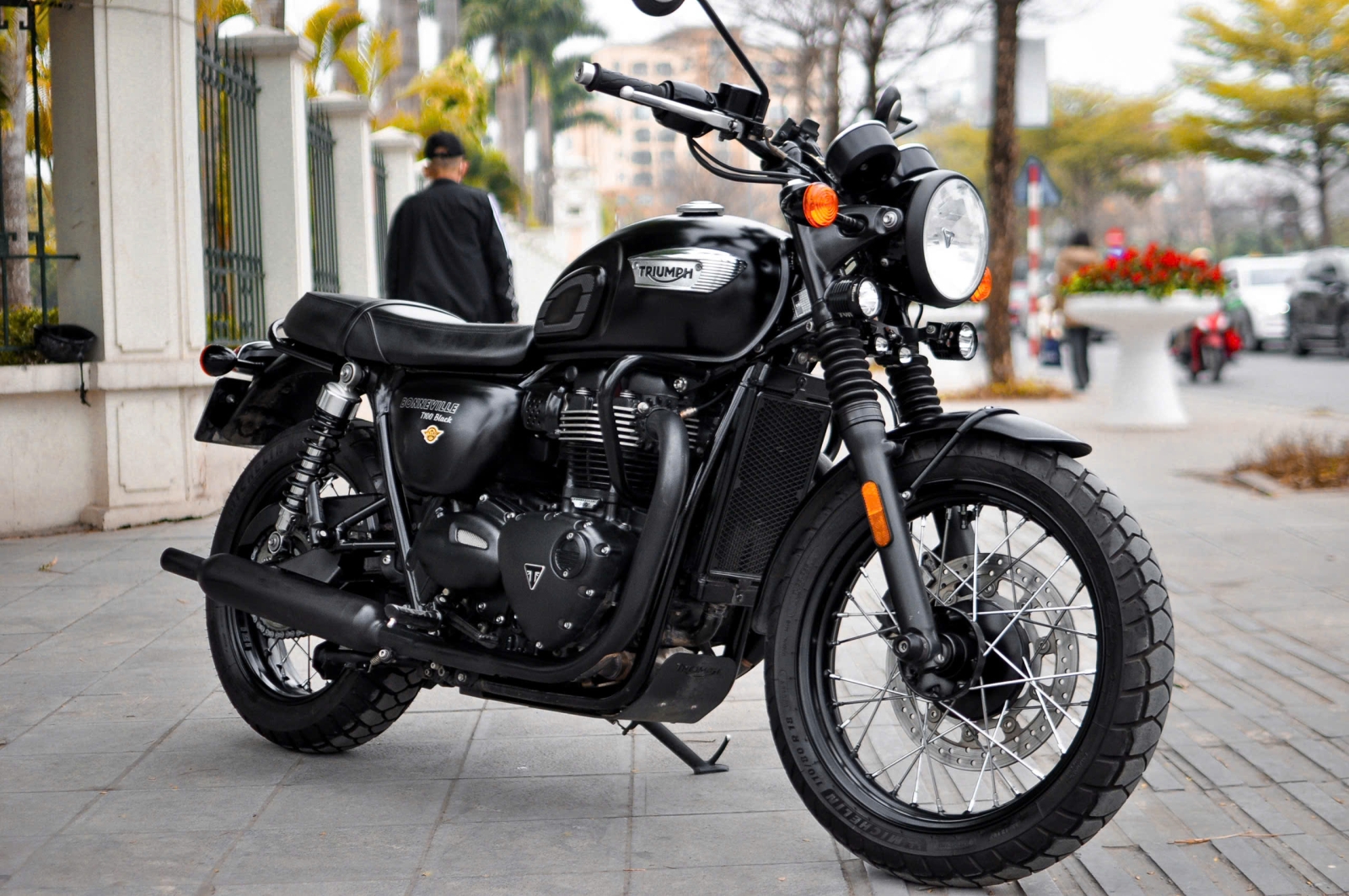 Triumph T100 MY 2019