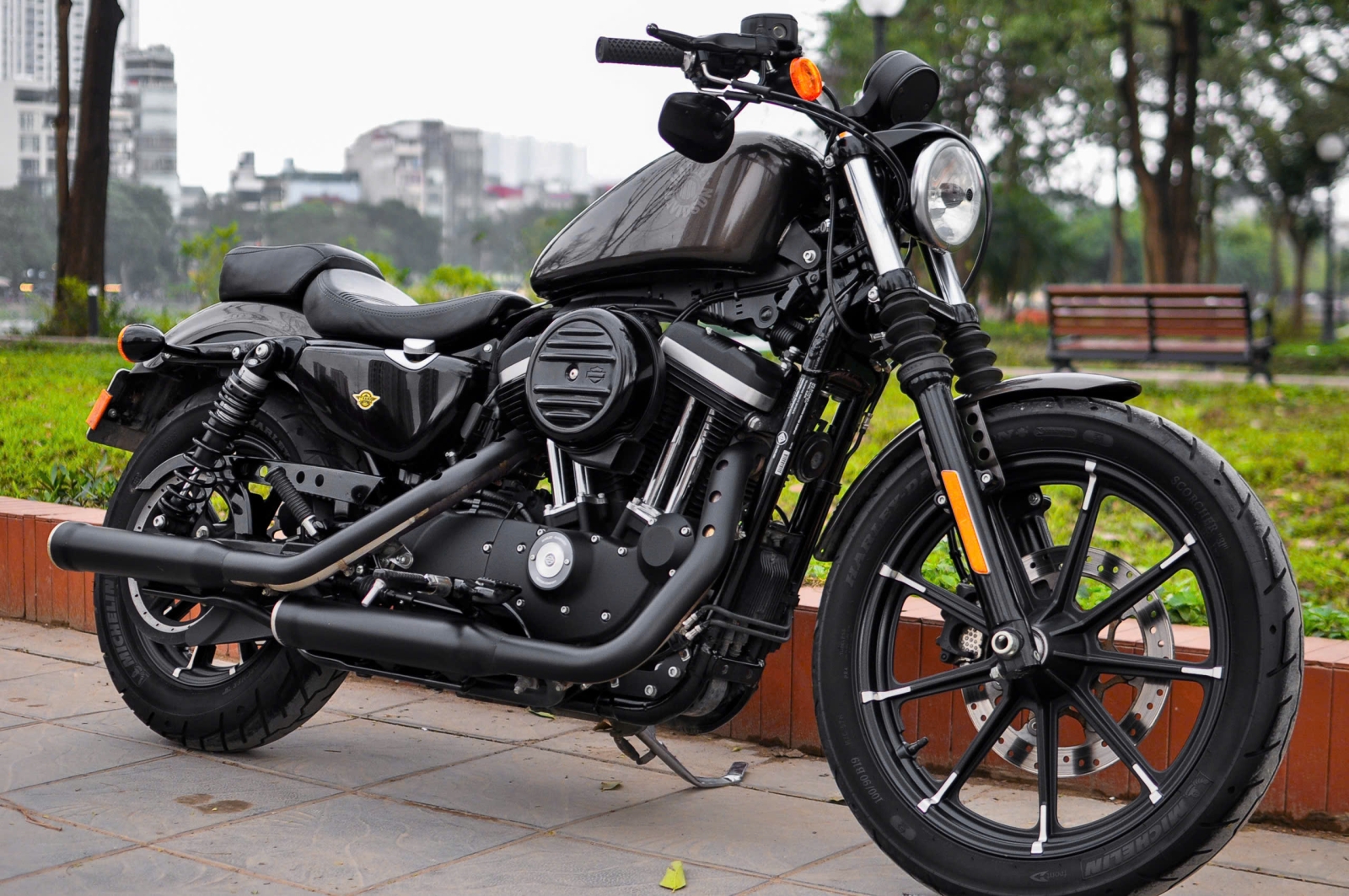 Harley Davidson Iron 883 2021 