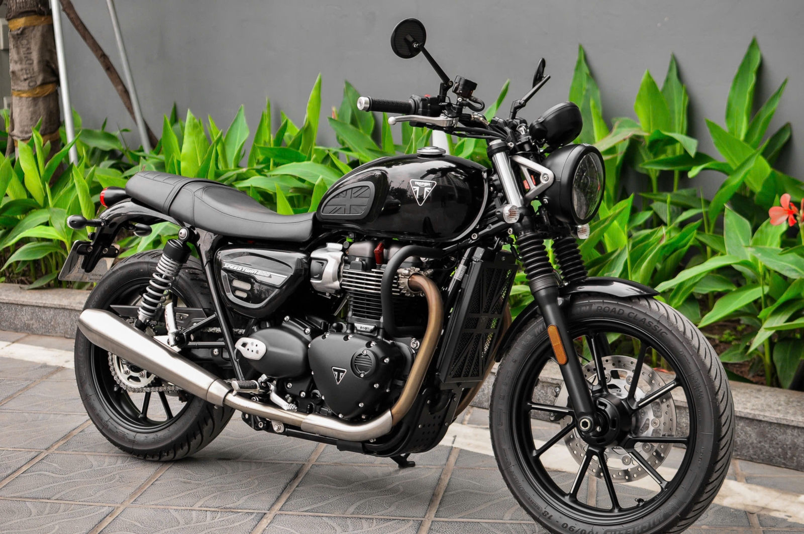 Triumph Speedtwin 900 2024