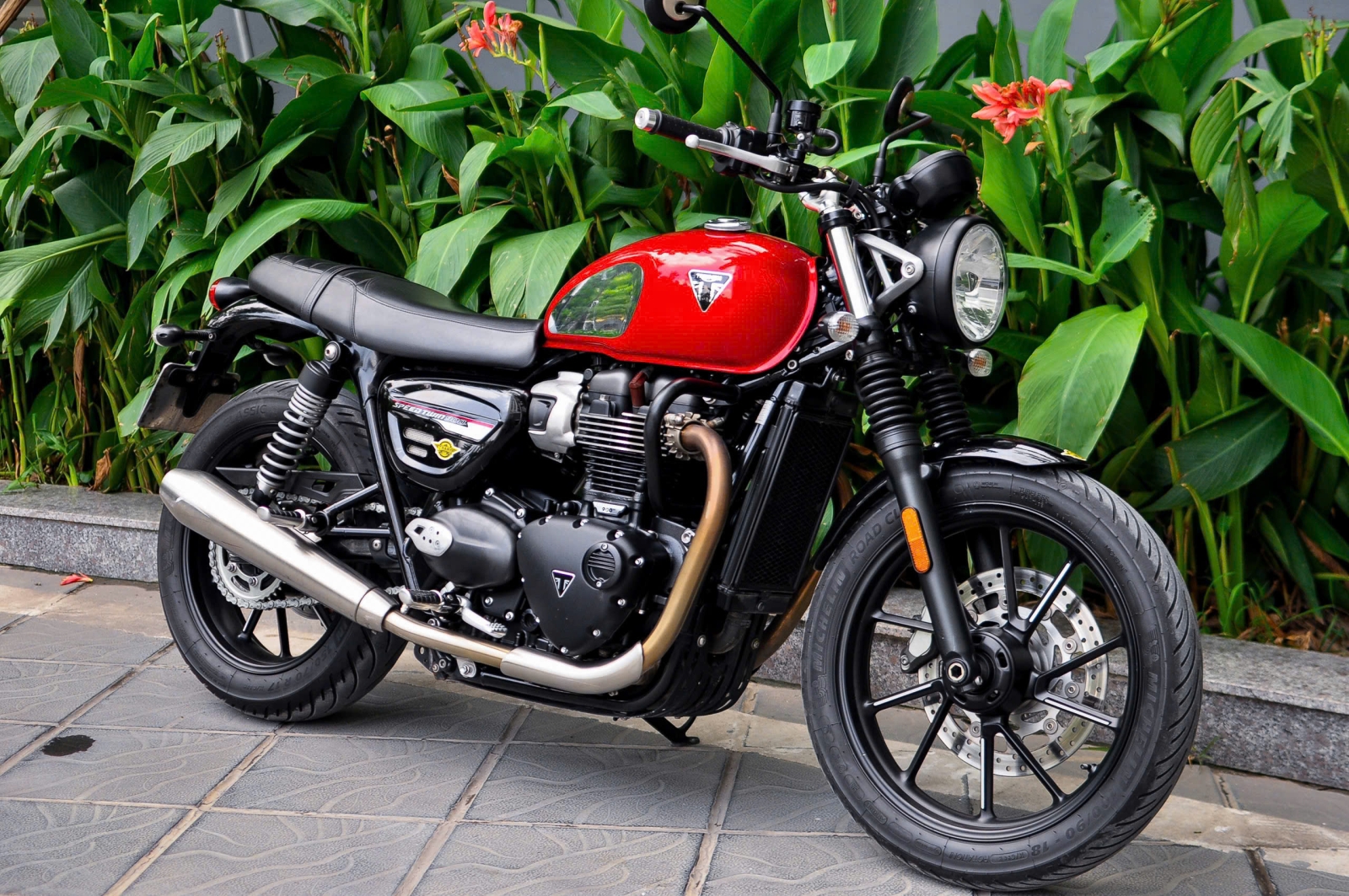 Triumph Speed Twin 900 2023