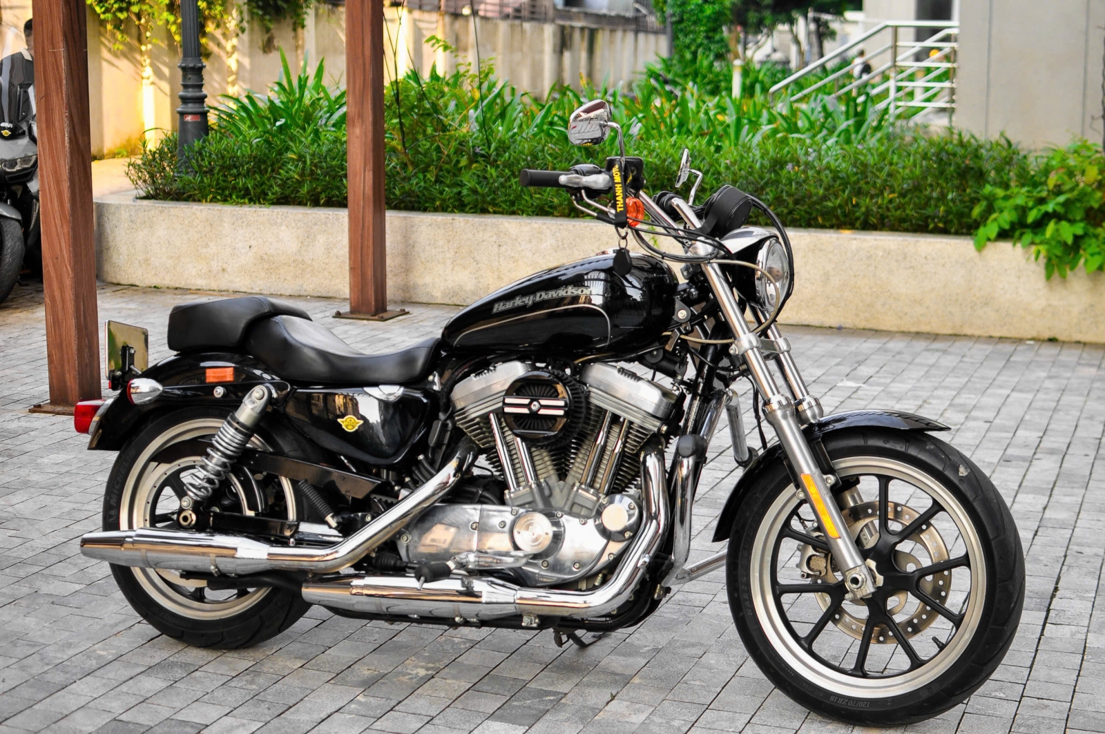 Harley Davidson Super Low 883 USA 