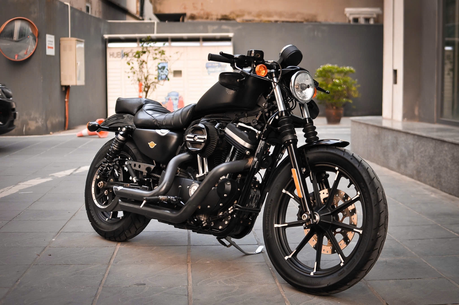 Harley Davidson Iron 883 2021 