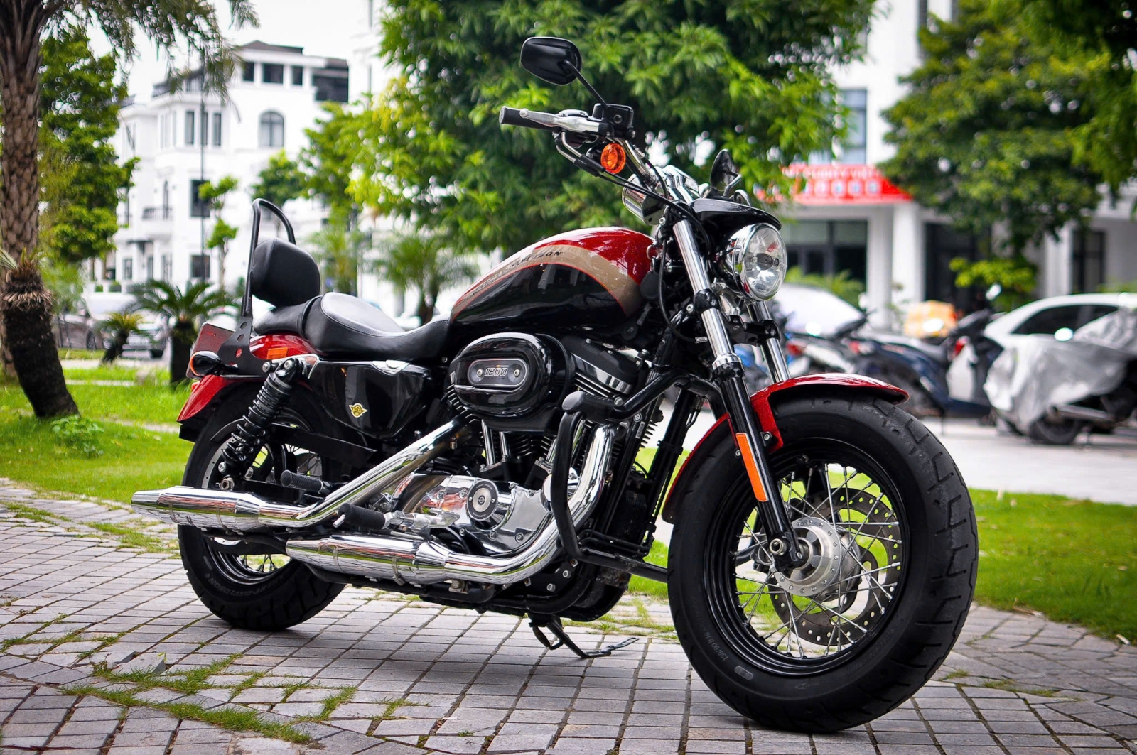 Harley Davidson Custom 1200 2021