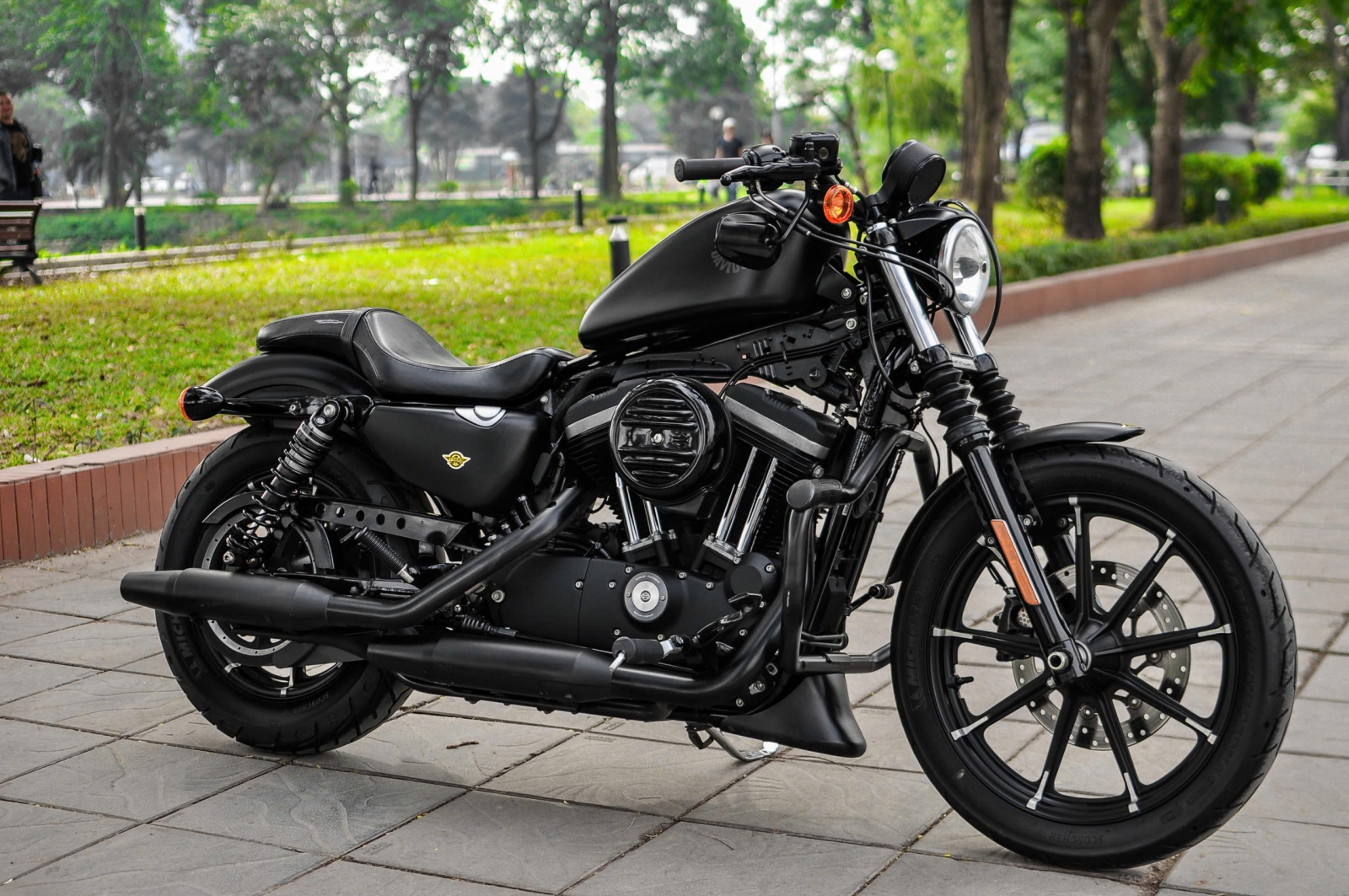 Harley Davidson Iron 883 2021