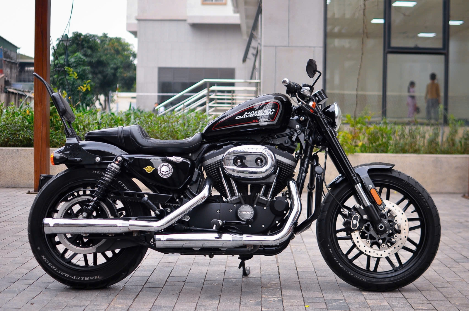 Harley Davidson Roadster 1200 2019 